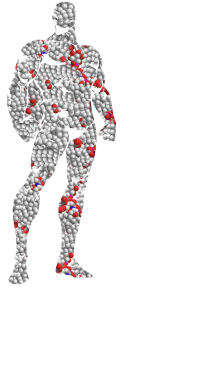 Lipidomes of lung cancer and tumour-free lung tissues reveal distinct ...